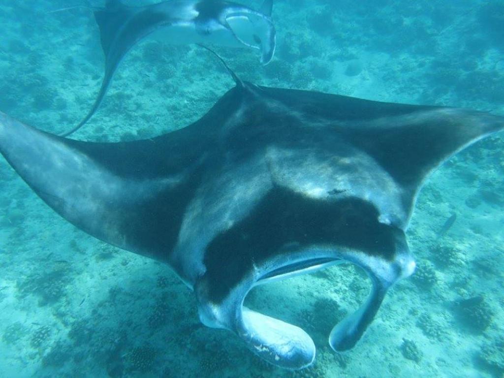 Treasure Island Lodge ฮูรา ภายนอก รูปภาพ