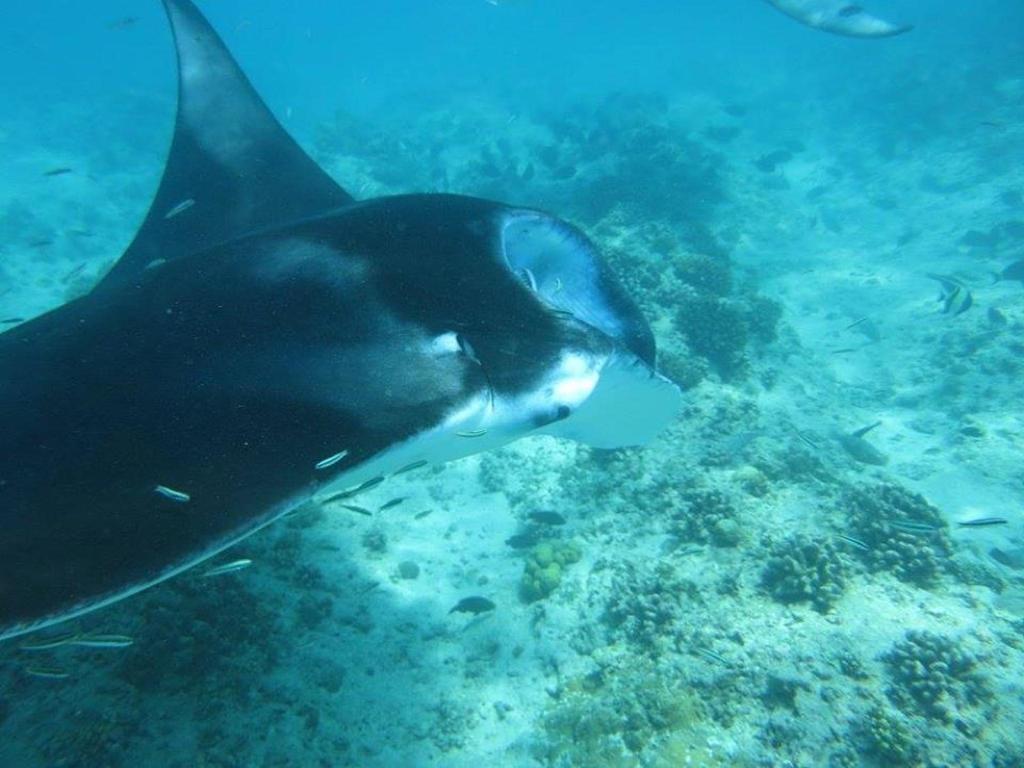 Treasure Island Lodge ฮูรา ภายนอก รูปภาพ